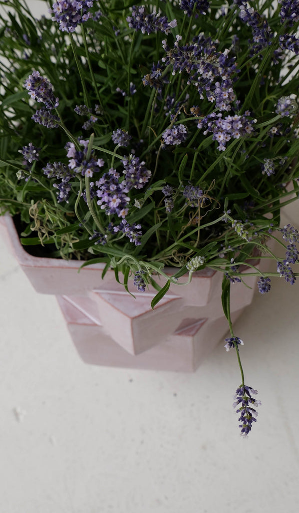 DISCONTINUED 3/25 B Zippy XL Hex Planter - Spartan Shop