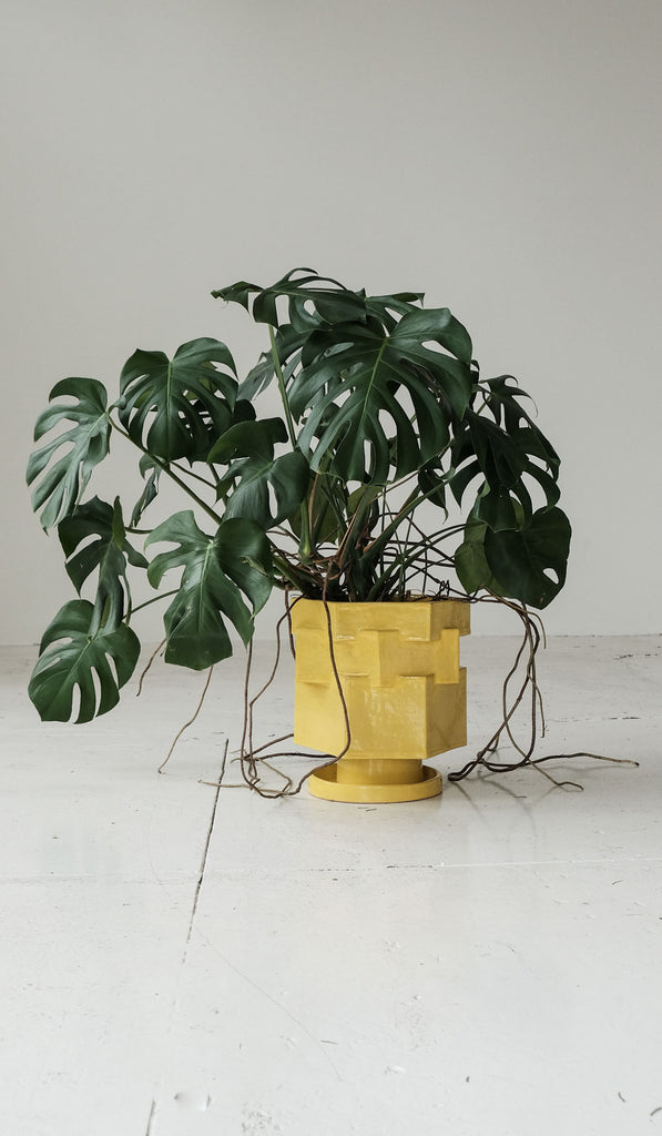 DISCONTINUED 3/25 B Zippy XL Hex Planter - Spartan Shop