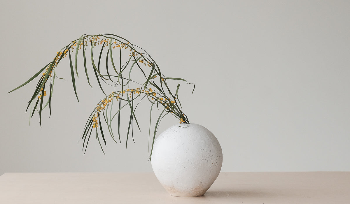 Clam Lab White Weed Vessel