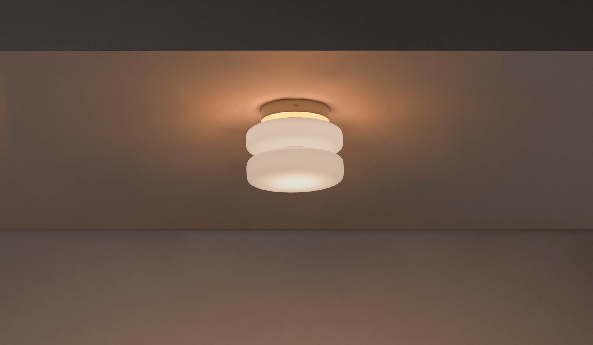 In Common With Puck Surface Mount - Spartan Shop