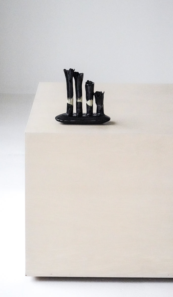 Nathalee Paolinelli Black Oblong Coral Vase No. 9