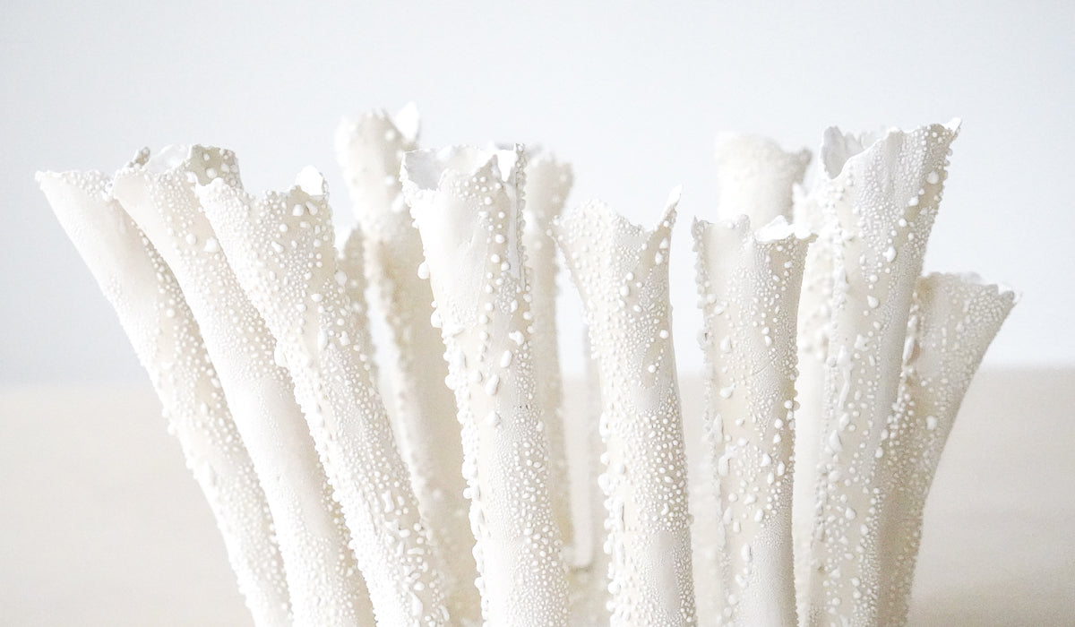 Nathalee Paolinelli Coral Crown Bowl No. 4