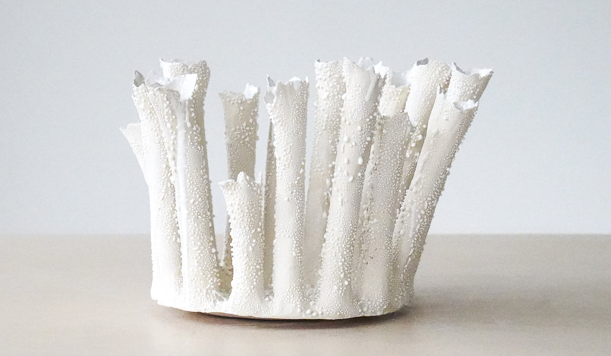 Nathalee Paolinelli Coral Crown Bowl No. 4