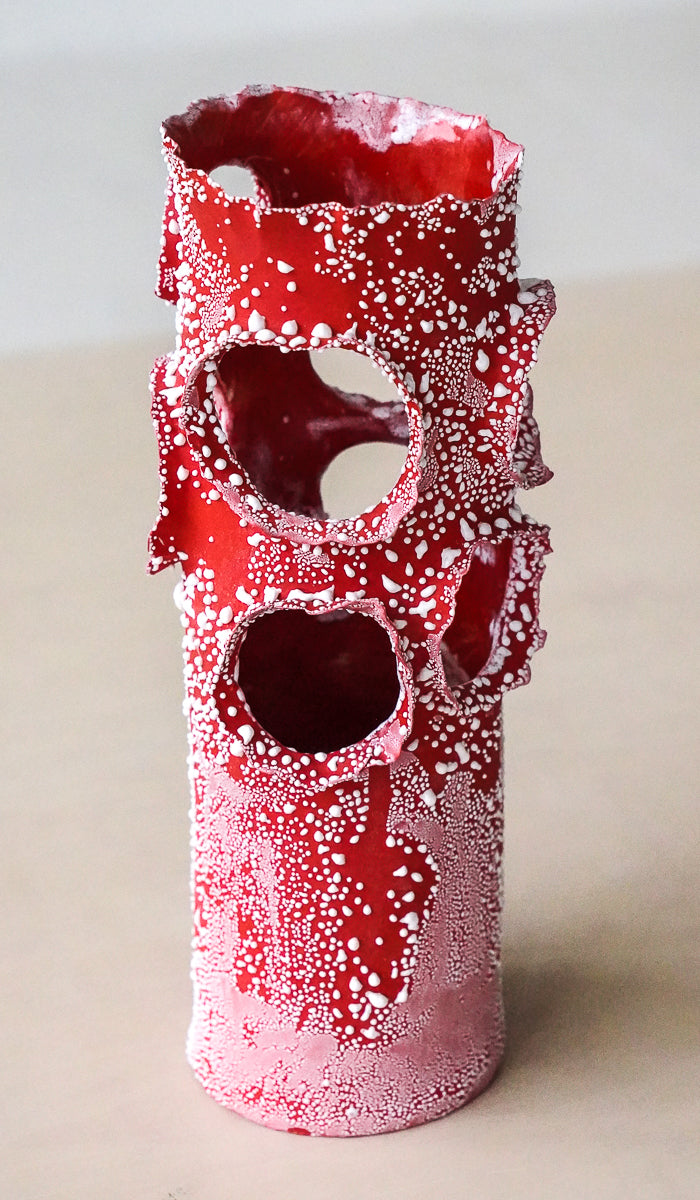 Nathalee Paolinelli Red Roosting Vessel No. 2