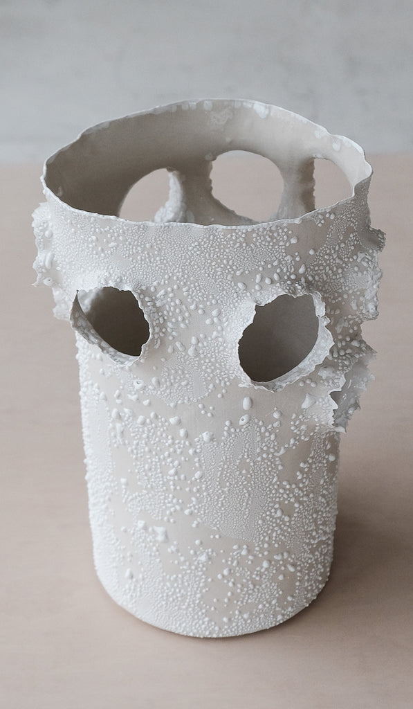 Nathalee Paolinelli  Roosting Vessel No. 1