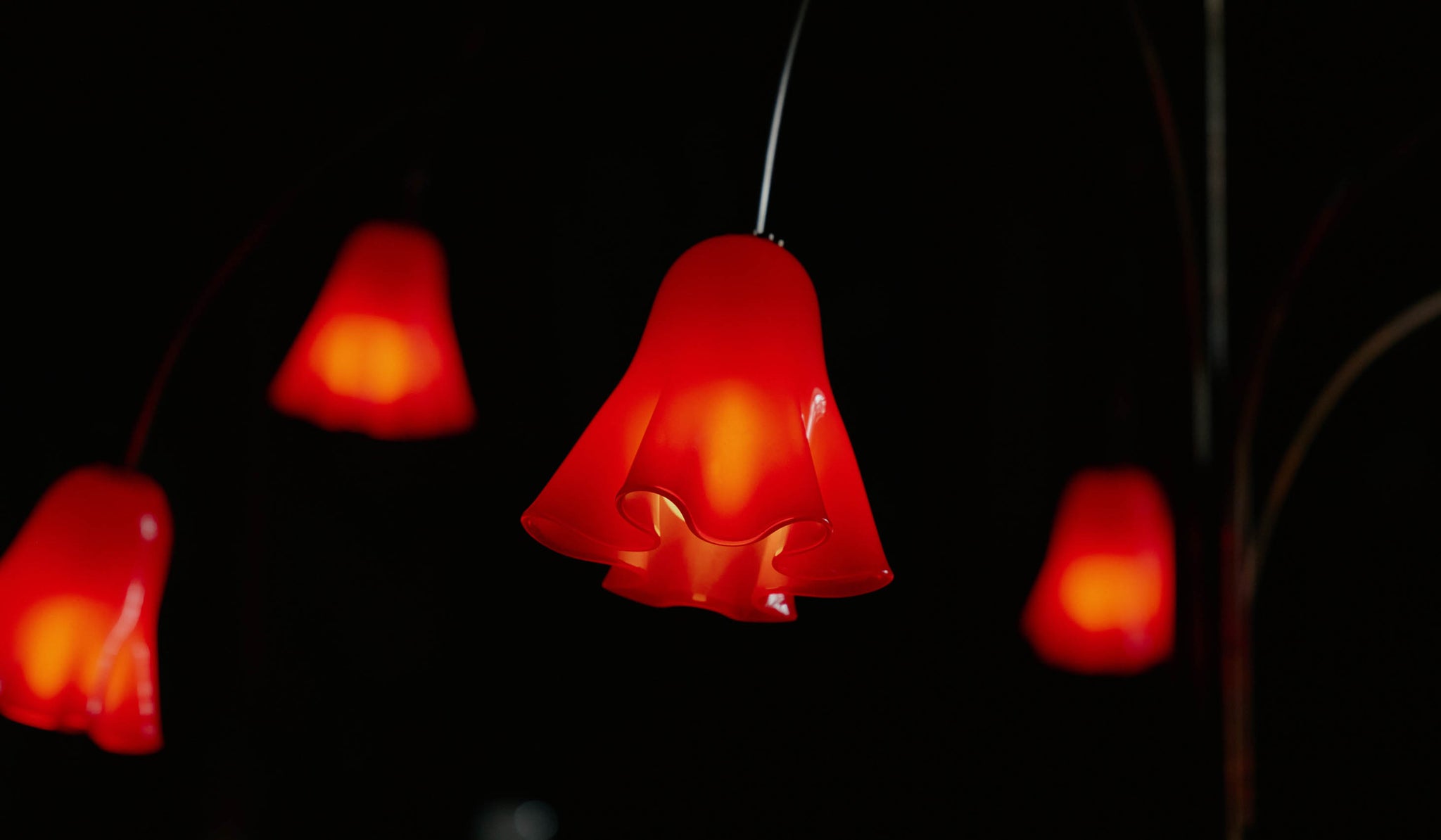 In Common With Blown Glass Flora Chandelier